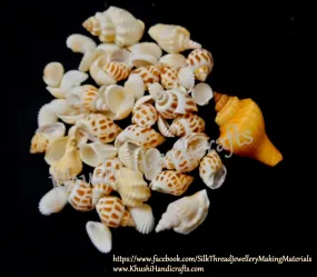 100g Shells For Resin Crafts ,Jewelry Mold Filling and Candle Making for the Beach effect