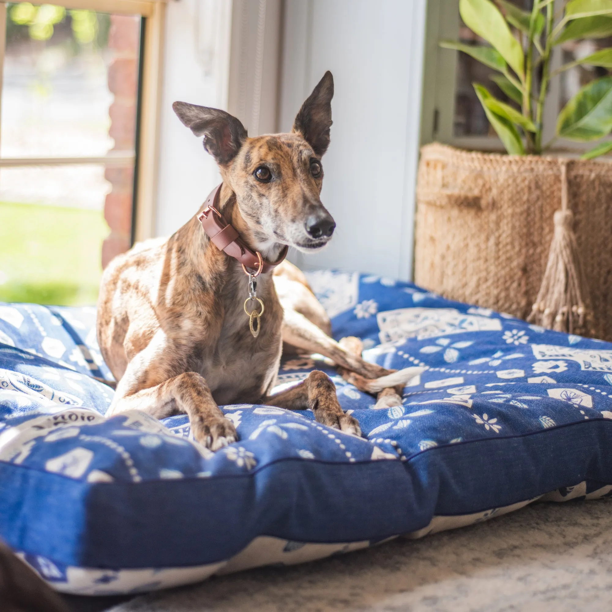 Additional Bed Cover - Noosa Nights