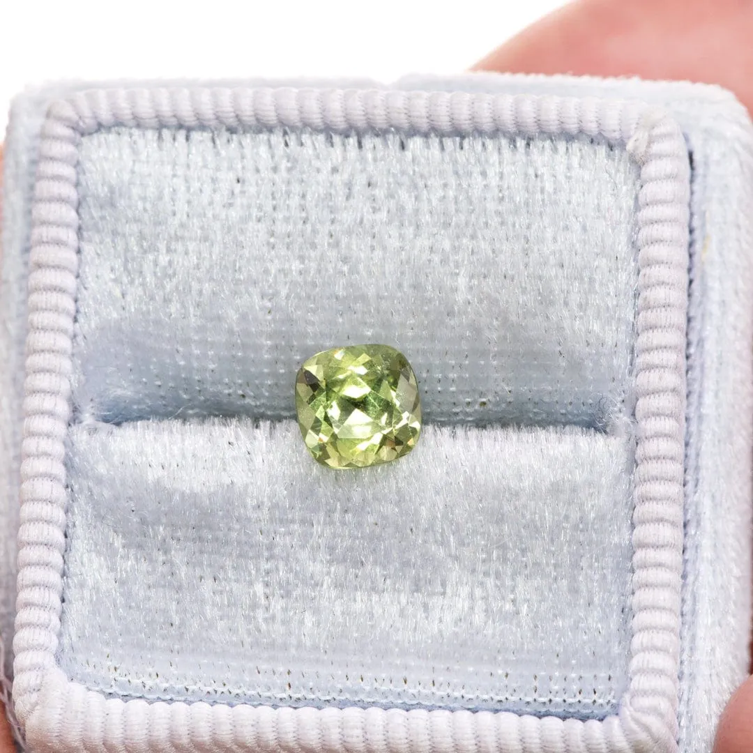 Cushion Cut 6.5mm/1.49ct Green Montana Sapphire Loose Gemstone