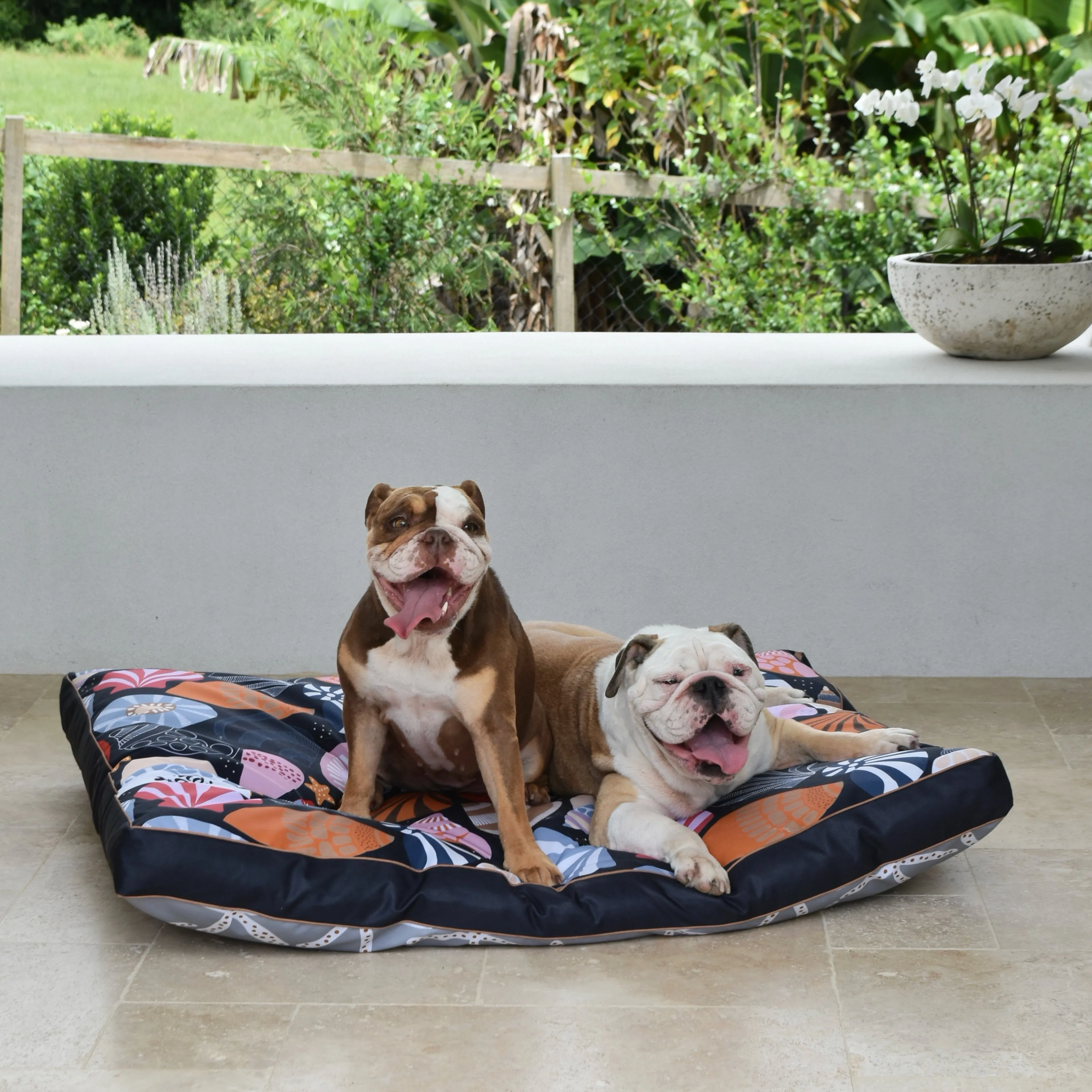 Daydream Shells Water-Resistant - XXL Dog Bed