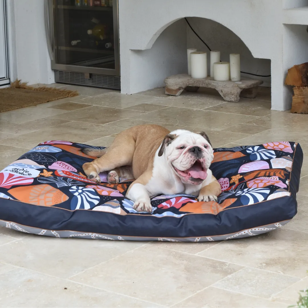 Daydream Shells Water-Resistant - XXL Dog Bed