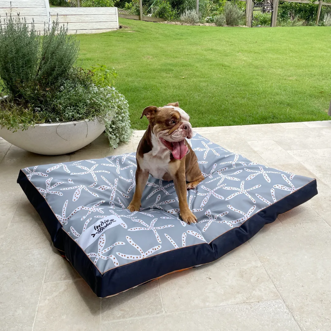 Daydream Shells Water-Resistant - XXL Dog Bed