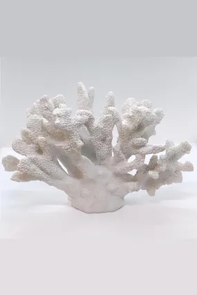 Large Coral